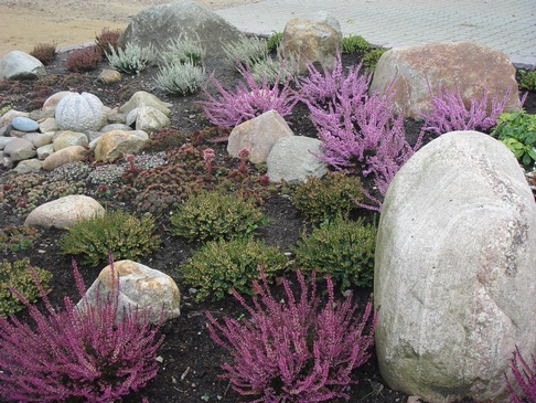 Haver/belægning