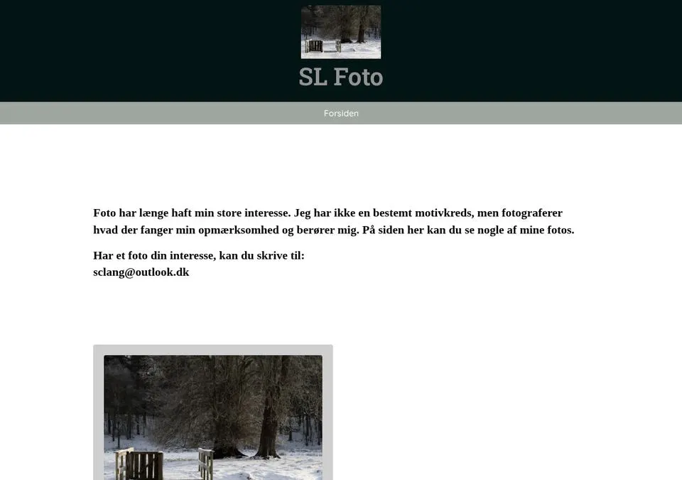 Fotohjemmeside for SL Foto med billedgallerier fordelt på årstal
